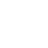 icons8 instagram 100